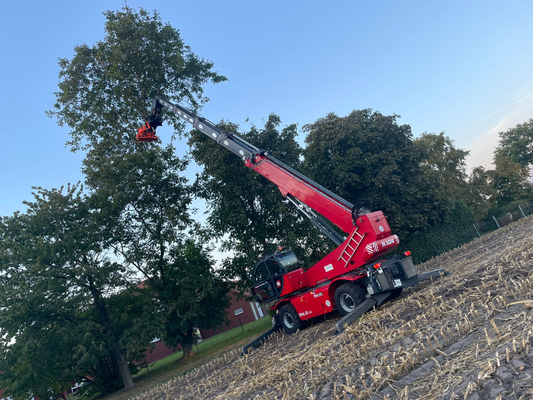 Roter Fällkran steht auf einem Feld und erreicht die Baumkrone am Feldrand mit voll ausgefahrenem Ausleger.